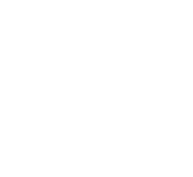 Dispute Resolver Consultancy