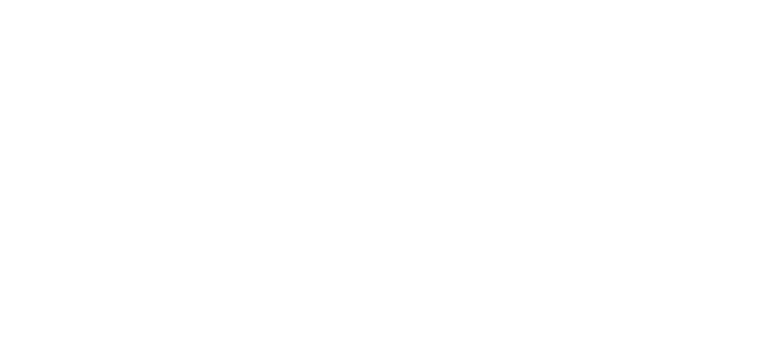 Skatepro