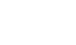 Wi5 Global